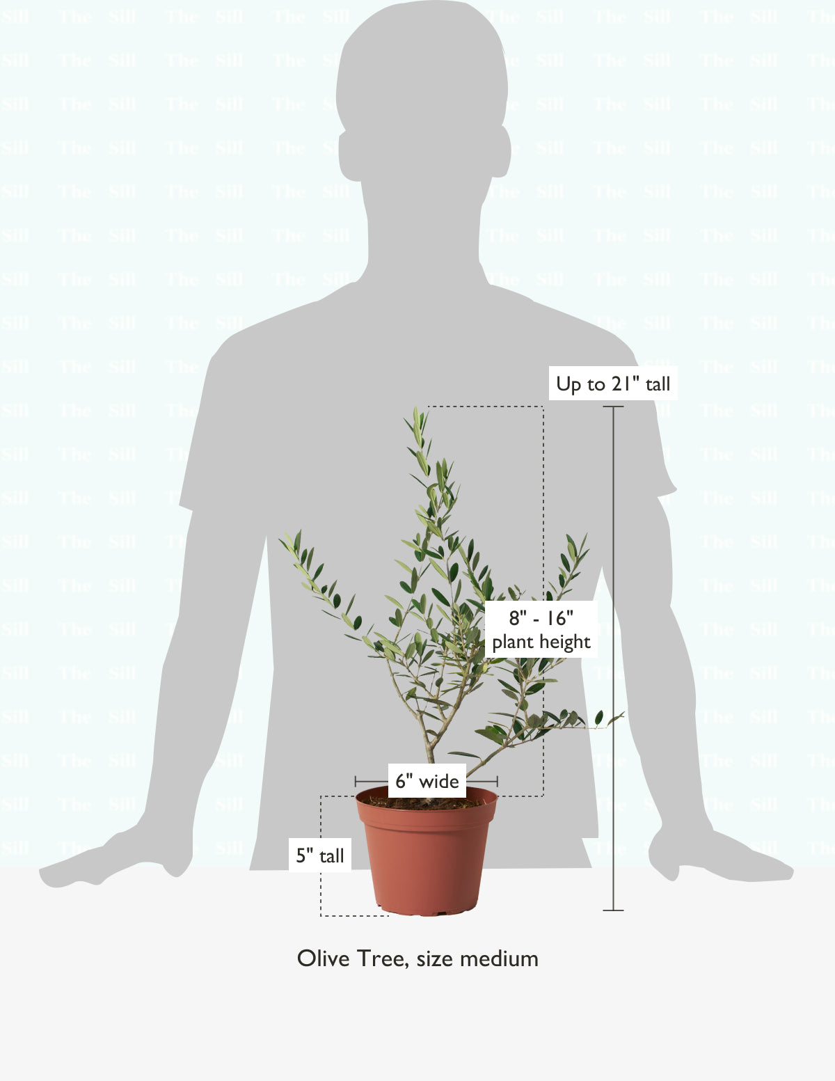 size-guide