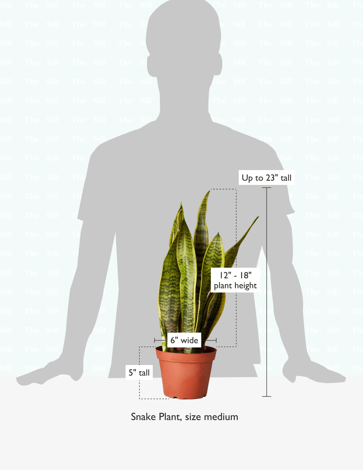 size-guide